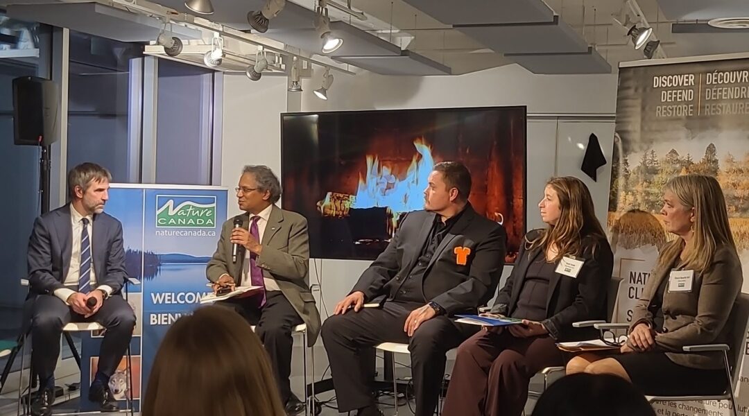 Guilbeault fireside chat Guilbeault fireside chat