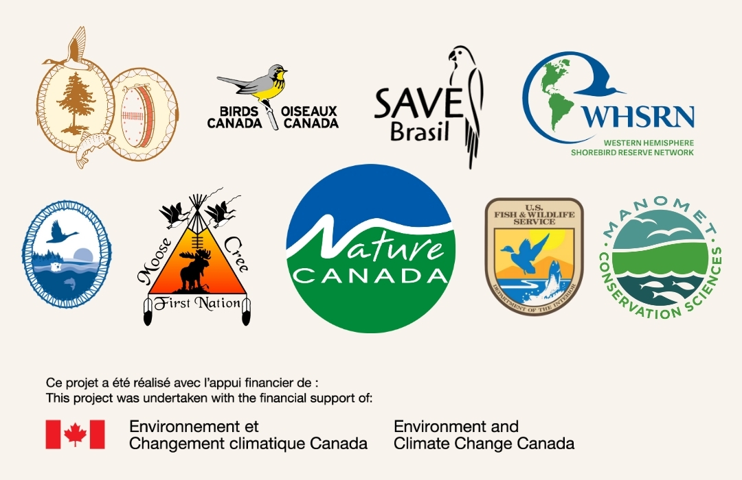 logos of all the partners on the save our shorebirds campaign