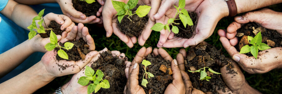 People,Hands,Cupping,Plant,Nurture,Environmental People,Hands,Cupping,Plant,Nurture,Environmental