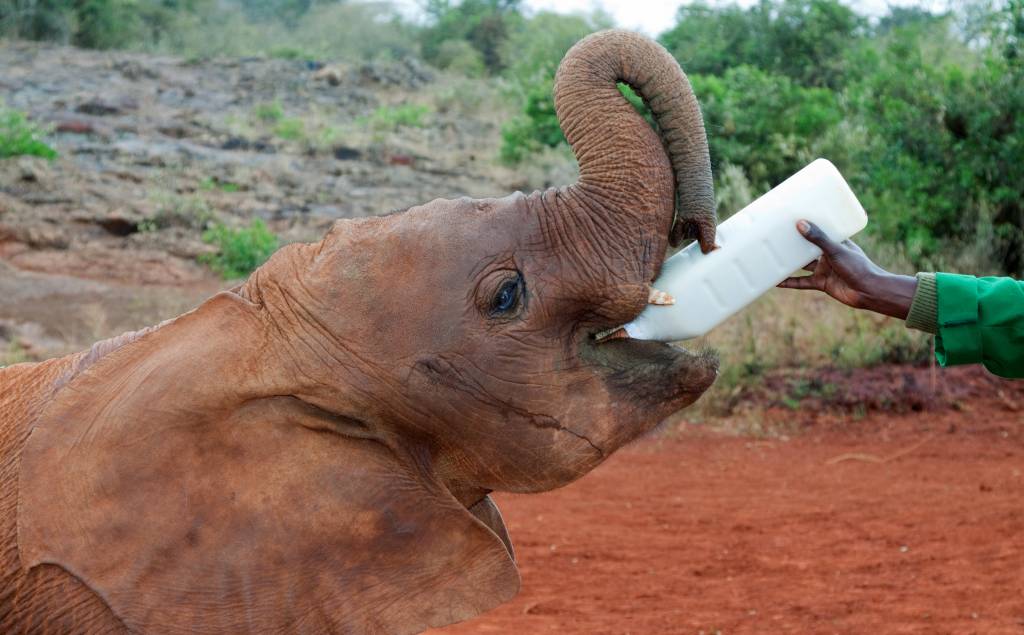 The Top 6 Reasons to Visit Kenya