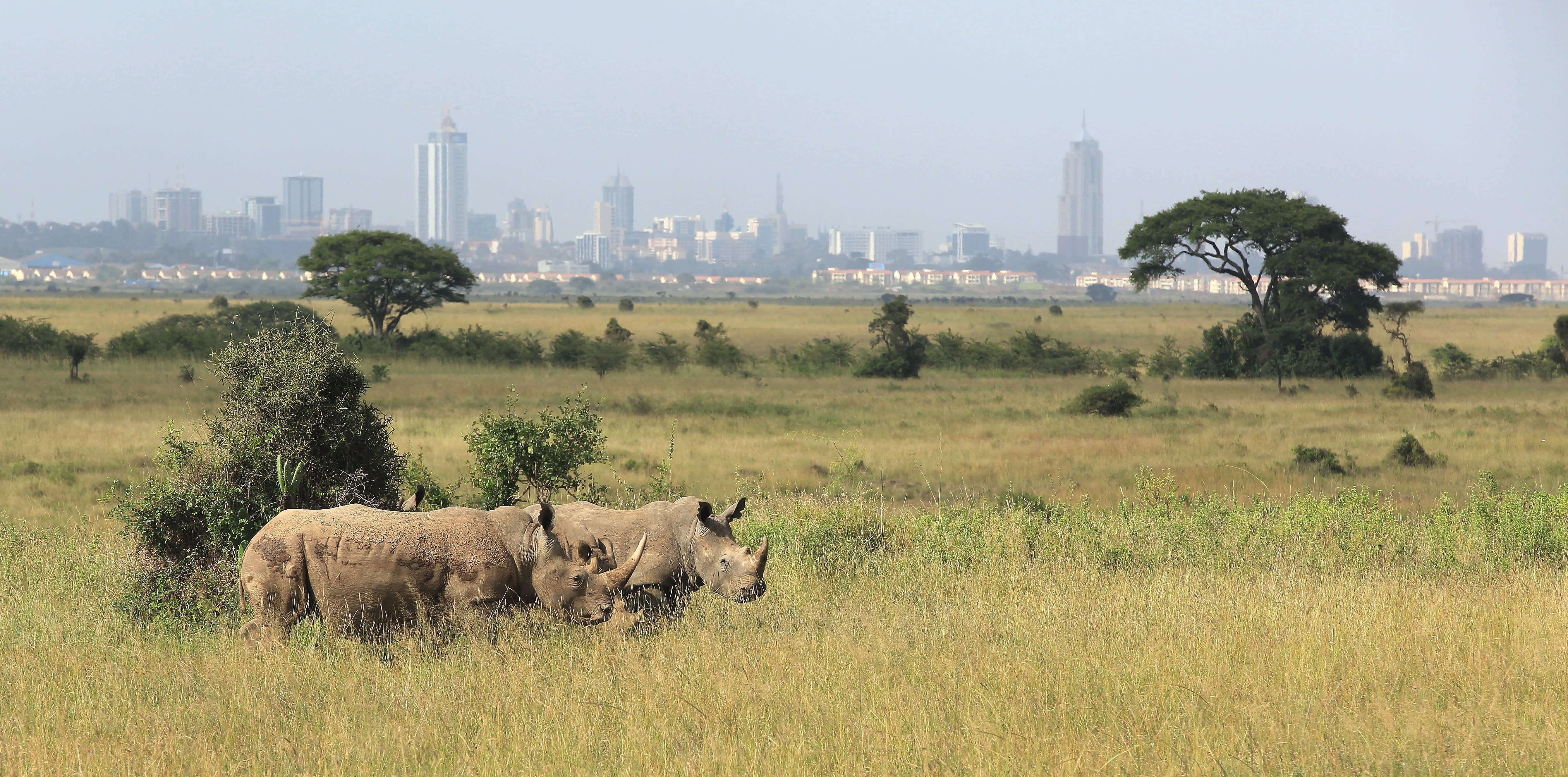 The Top 6 Reasons to Visit Kenya