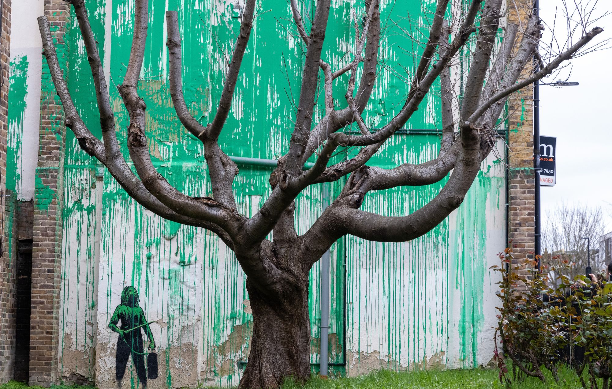 Banksy Tree Mural in North London