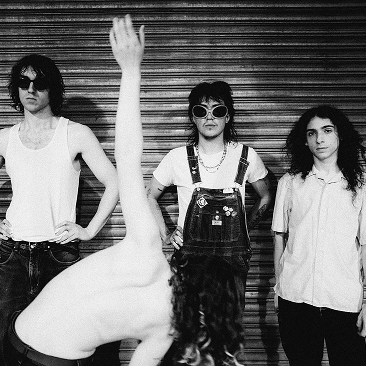 Geese, image by Lewis Evans