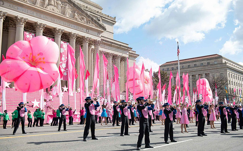 National Cherry Blossom Festival Parade in Washington, DC with colorful floats and performers.