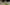 230710202144006_Bryant_Park_Christmas_Tree