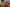 fette_sau_ny_190306100959001