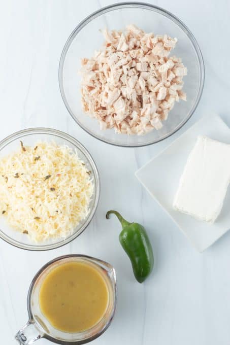 Ingredients for Chicken Enchilada Dip.
