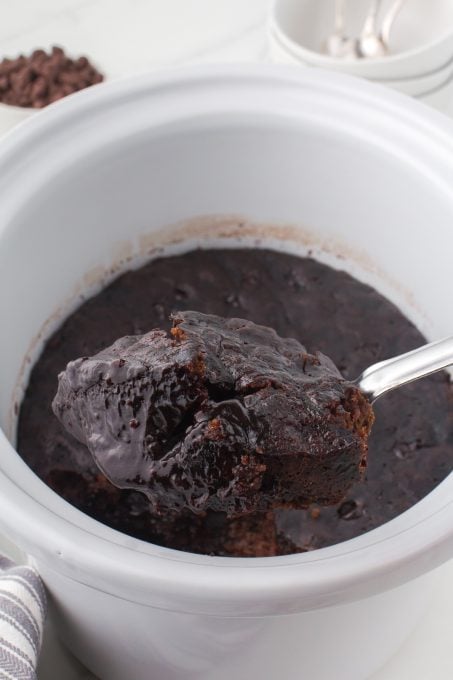 Pudding Cake made of chocolate and peanut butter.