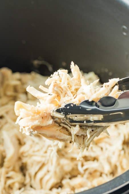Shredded Chicken