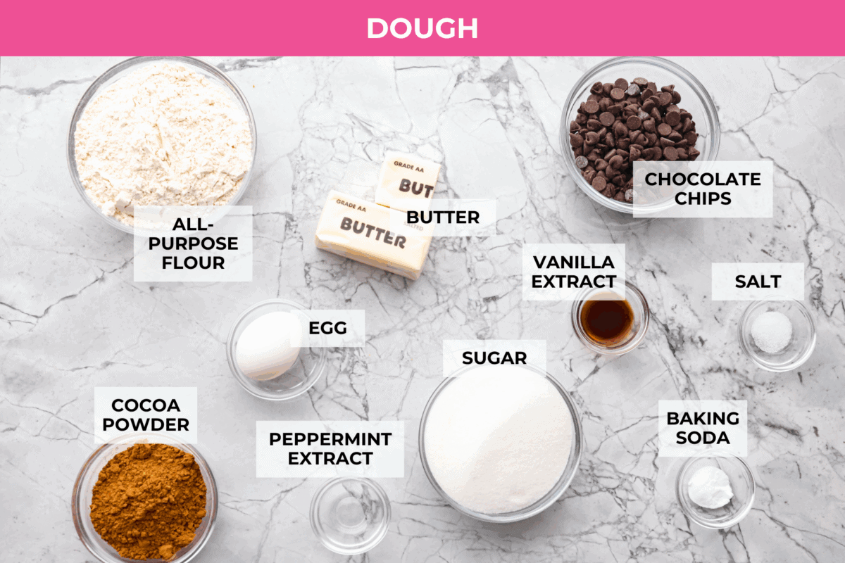 Overhead shot of labeled chocolate peppermint cookies ingredients.