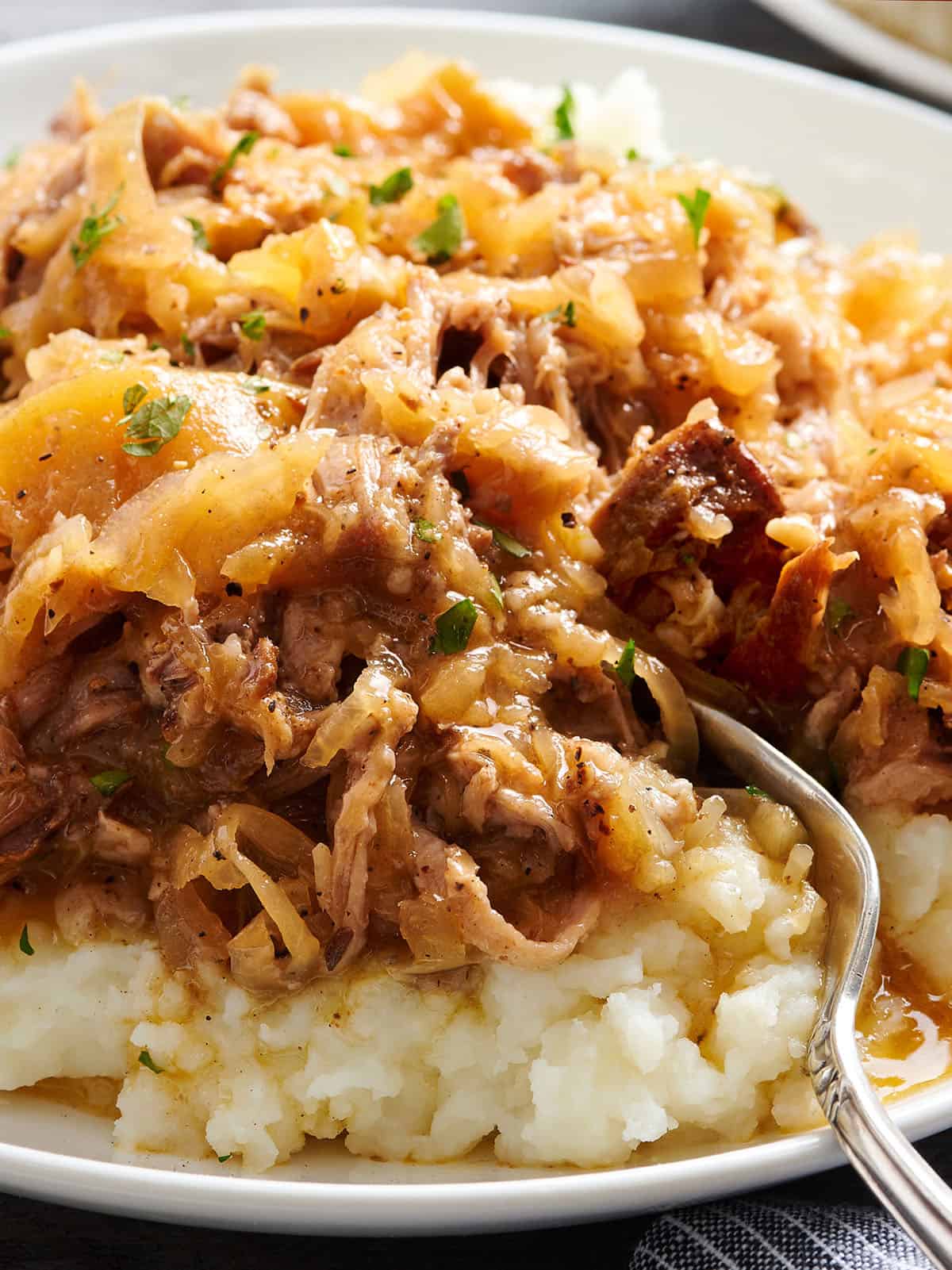 Side view of shredded pork and sauerkraut on a plate with mashed potatoes.