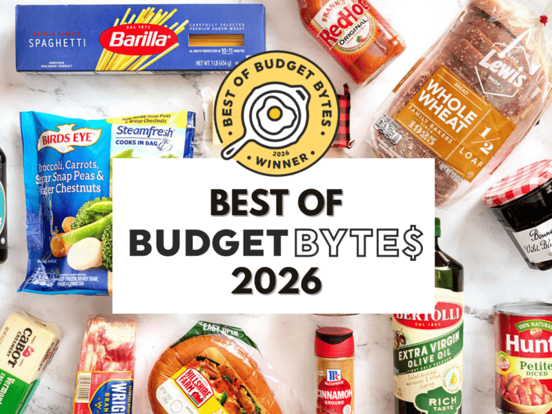 best of Budget Bytes image with featured brands