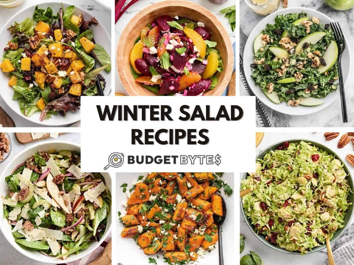 collage of various winter salad recipes