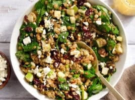 Overhead view on a cranberry and lentil salad in a bowl with a spoon.