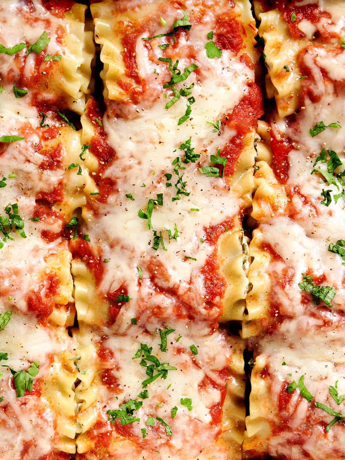 Overhead close ups of lasagna roll ups in a baking dish.