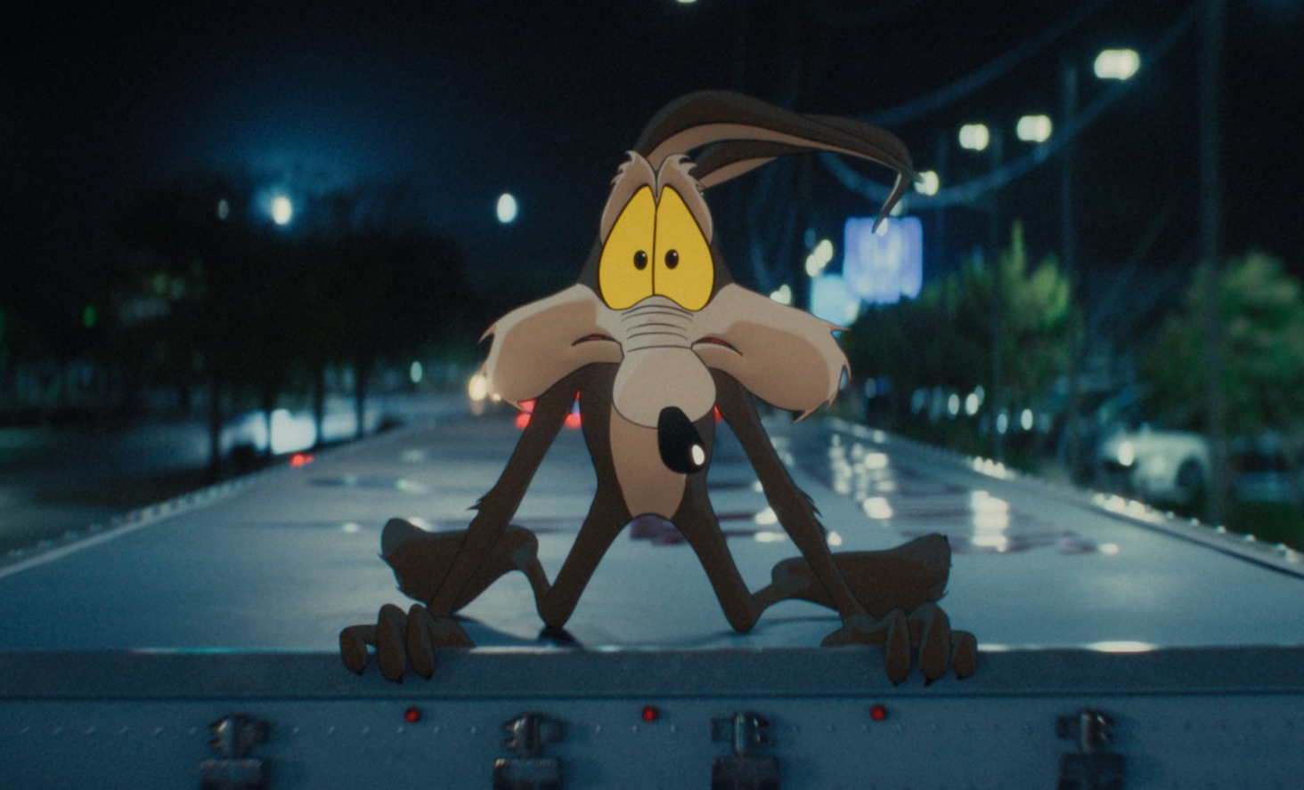 coyote vs acme
