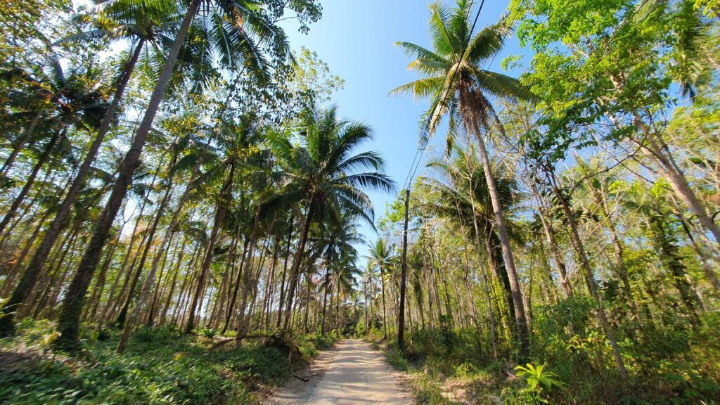 Road in Koh Kood