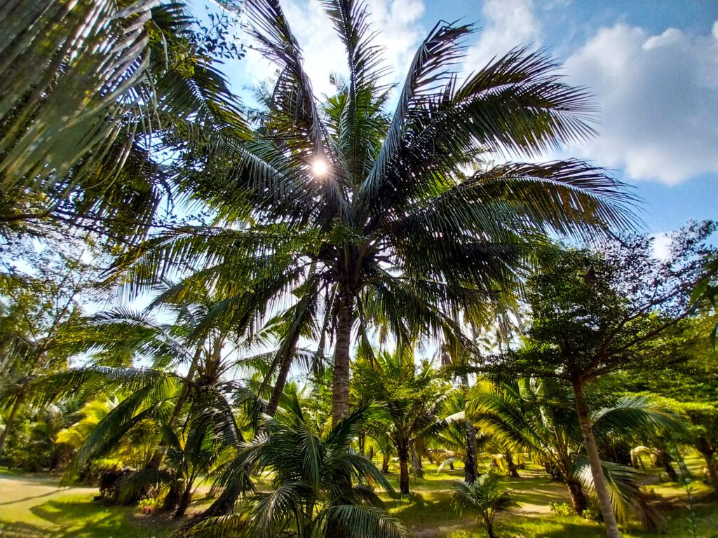 Suan Maprao Ko Kut Resort