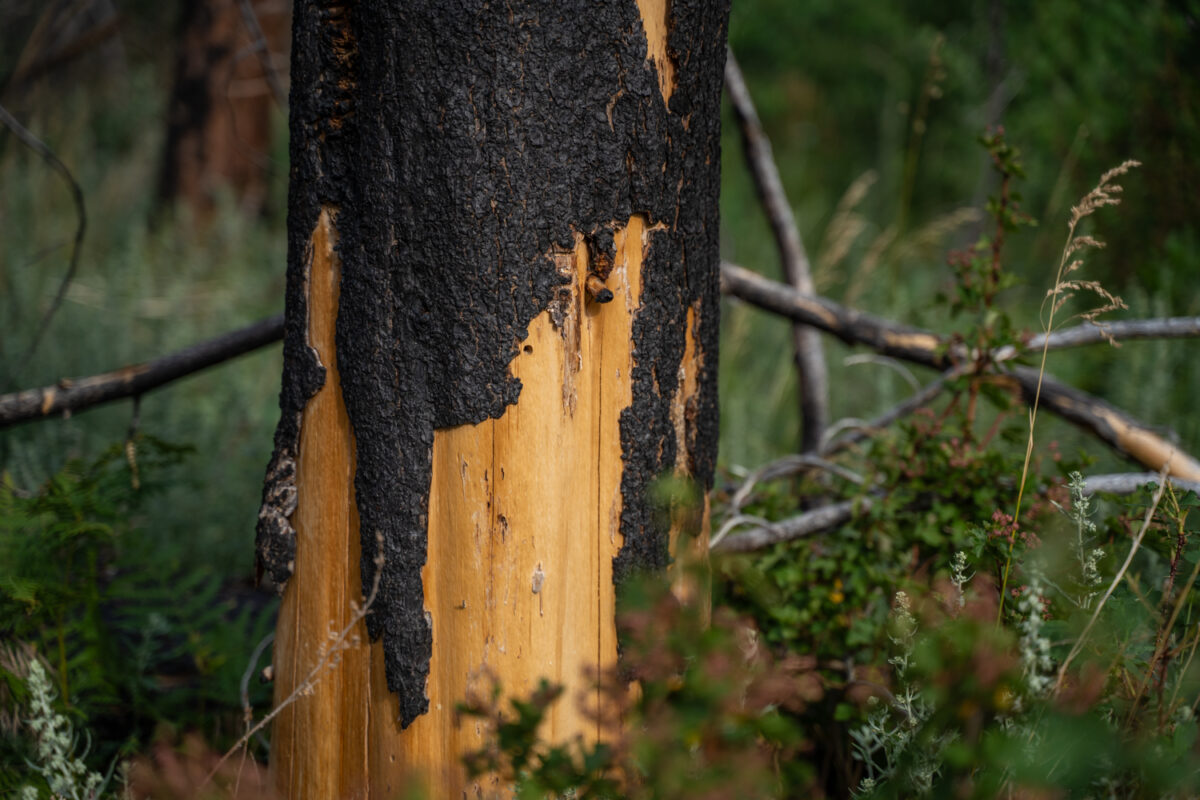 Odessa Lake Hike troublesome fire