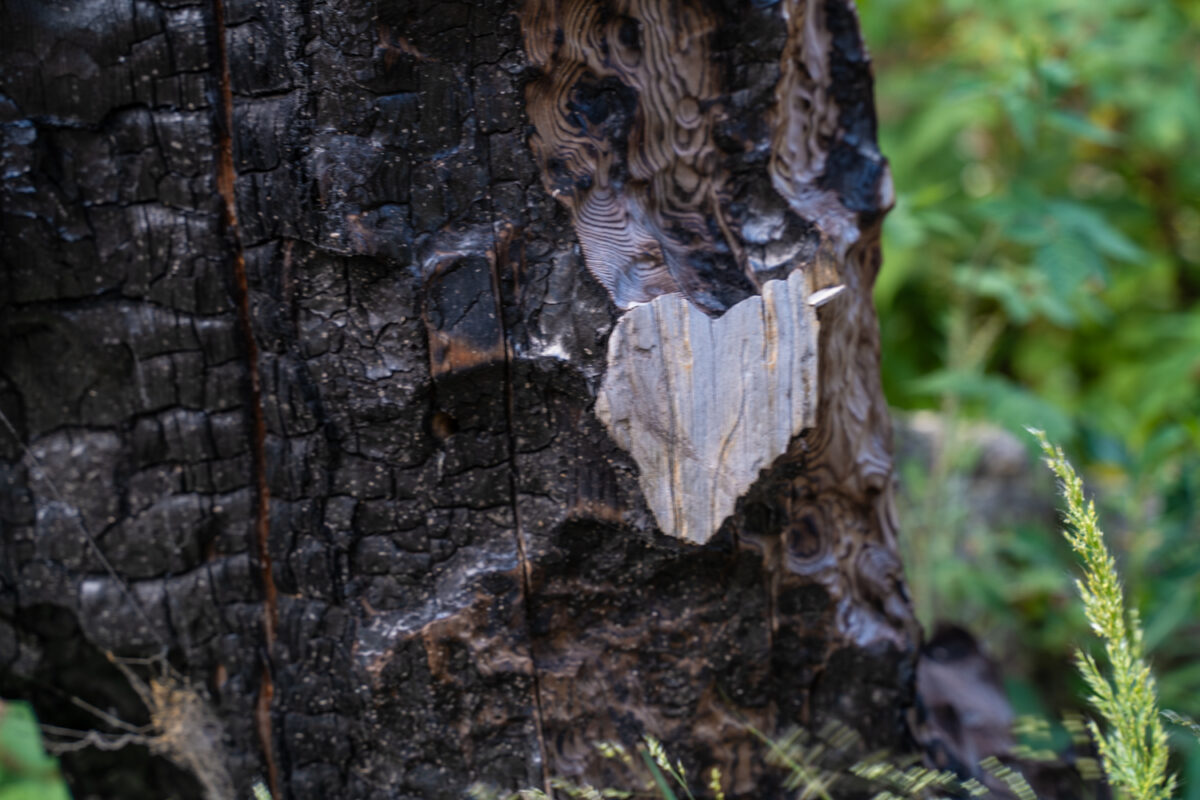 Odessa Lake Hike troublesome fire