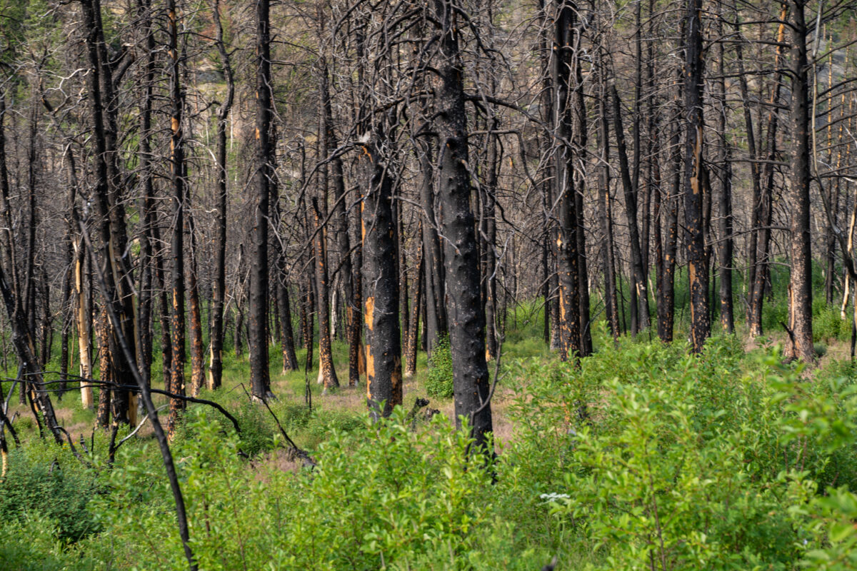 Odessa Lake Hike troublesome fire