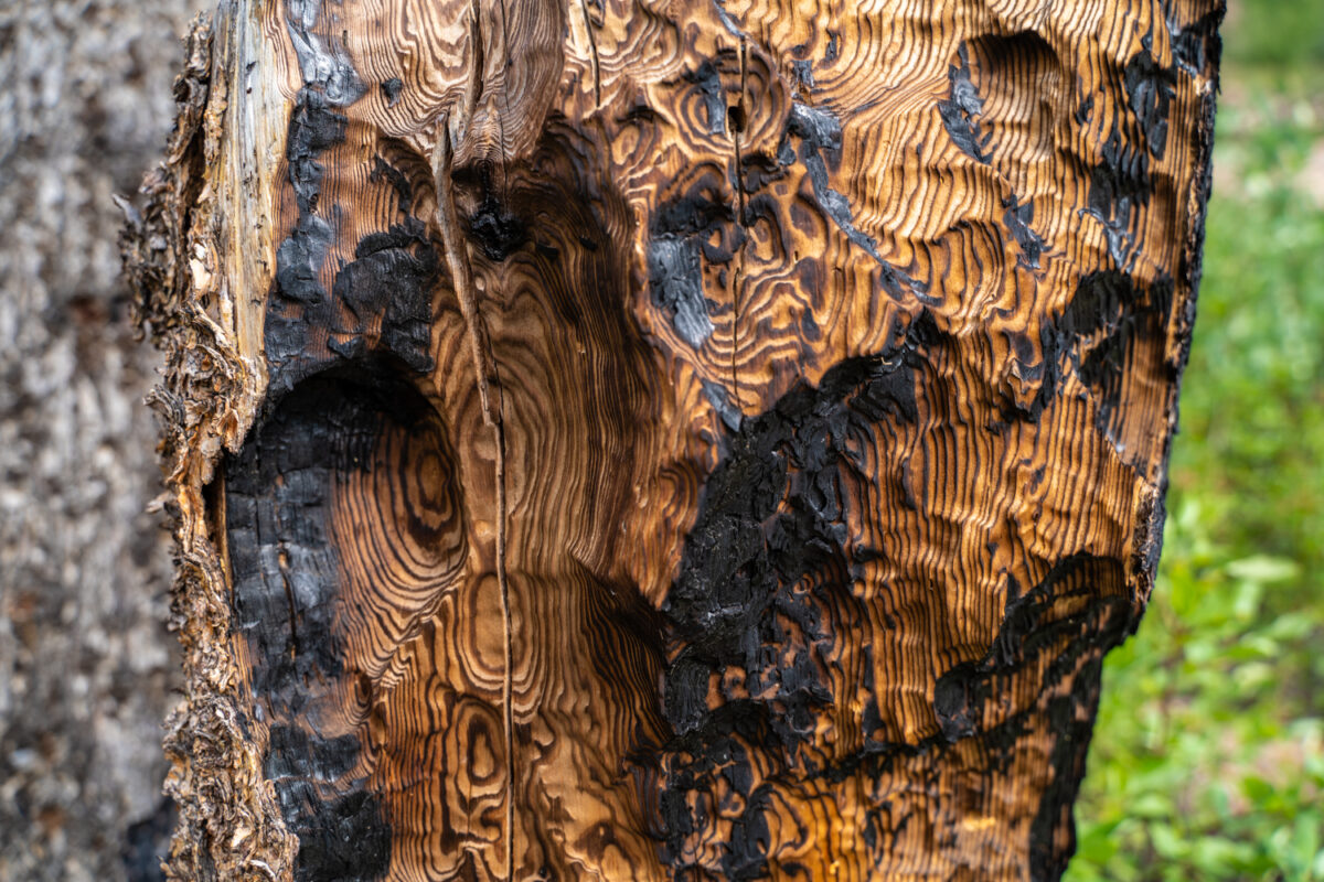 Odessa Lake Hike troublesome fire